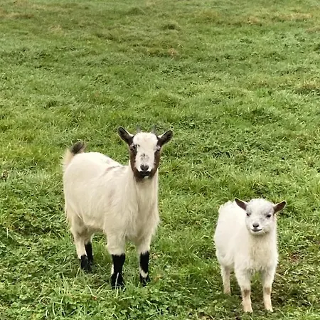 L'escale Normande Hébergement de vacances Saint-Jean-des-Champs