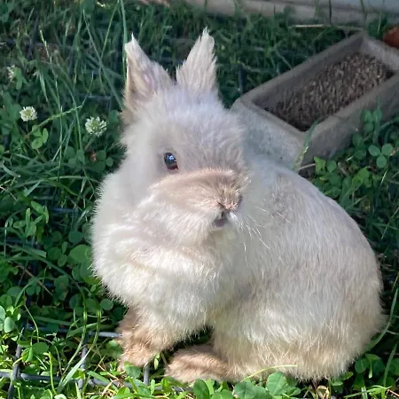 L'escale Normande Saint-Jean-des-Champs