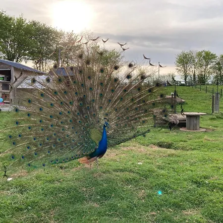 L'escale Normande Tatil Evi Saint-Jean-des-Champs