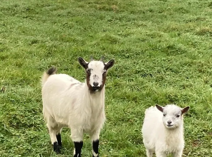 L'escale Normande Holiday home Saint-Jean-des-Champs