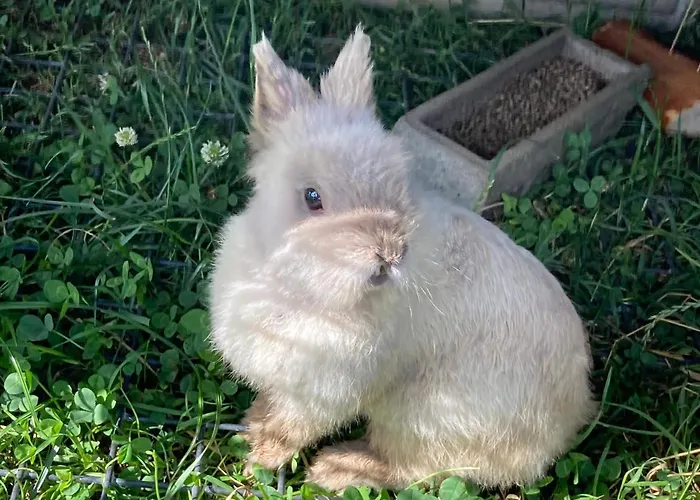 L'escale Normande Saint-Jean-des-Champs