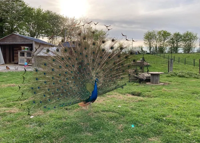 L'escale Normande Tatil Evi Saint-Jean-des-Champs
